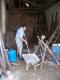 N�hodn� fotka z albumu