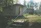 N�hodn� fotka z albumu