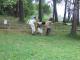 N�hodn� fotka z albumu