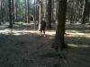 CAM00183