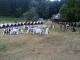 N�hodn� fotka z albumu
