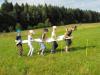 skolicka2014_072.JPG