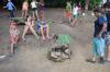 damasek 2015 177