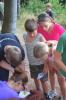 damasek 2015 340
