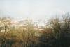 mutenice09