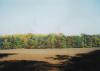 mutenice04