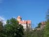 brno31