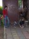 N�hodn� fotka z albumu