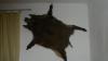 Svratouch02.jpg