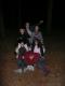 N�hodn� fotka z albumu