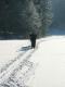 N�hodn� fotka z albumu
